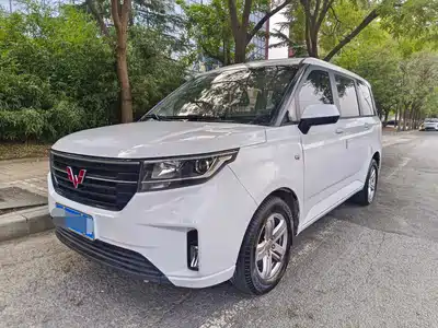 Wuling Motors Hongguang PLUS 2022