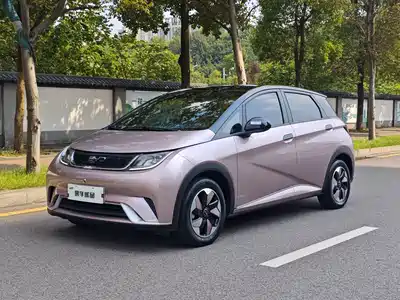 BYD Dolphin 2024
