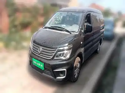 Dongfeng Fengxing Lingzhi 2021