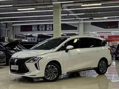 Dongfeng Fengxing Yacht 2024