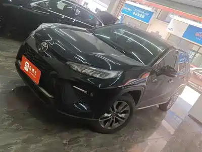 Toyota Wildlander 2021
