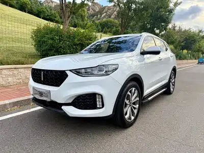 WEY VV6 2019