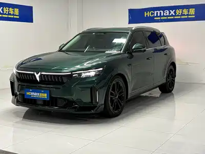 Voyah Auto FREE 2024