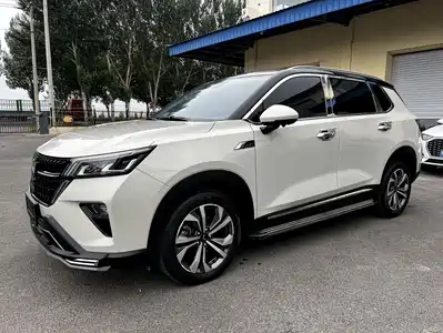 Wuling Motors Xingchen 2021