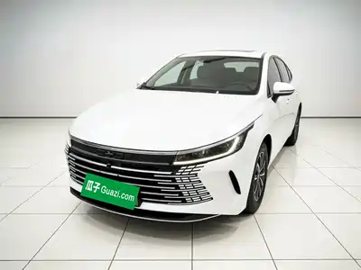 BYD Destroyer 05 2024