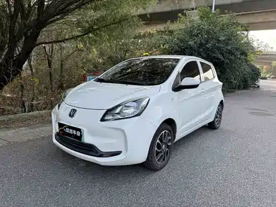 Changan Benben E-Star 2021