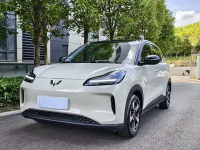 Wuling Motors Bingo PLUS 2024