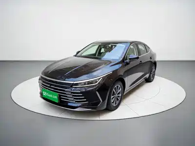 BYD Destroyer 05 2024