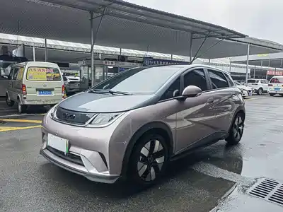 BYD Dolphin 2023
