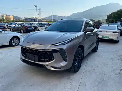 Dongfeng Fengxing T5 EVO 2021