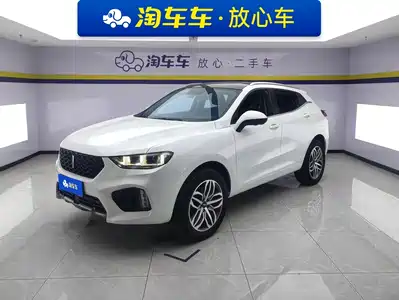 WEY VV5 2019