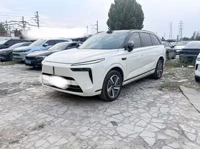 WEY Lanshan 2025
