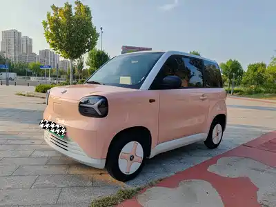 Zhido Rainbow 2024