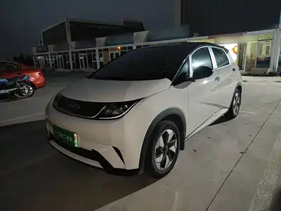 BYD Dolphin 2026