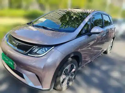 BYD Dolphin 2024