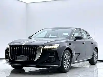 Hongqi H5 2024
