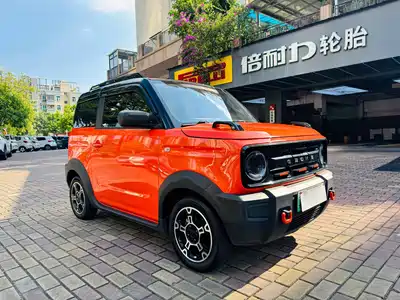 Geely Galaxy Panda 2024