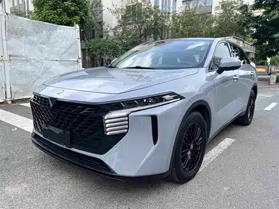 Venucia Big V 2023