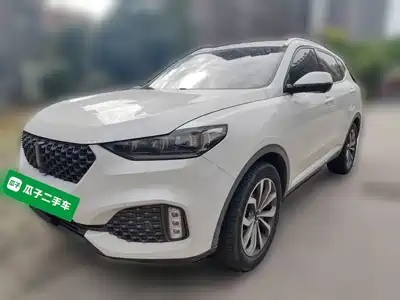 WEY VV6 2019