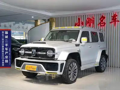 Crossboundary Auto Co-created Tank 300 2022