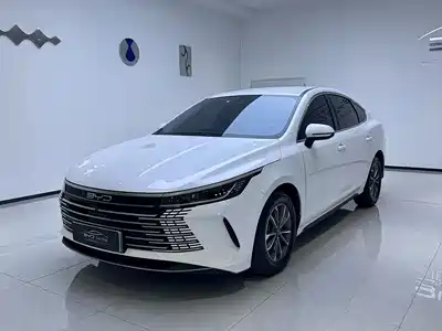 BYD Destroyer 05 2024