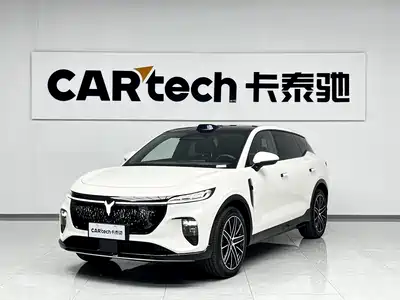 Voyah Auto Zhiyin 2025