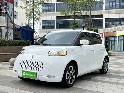 Ora White Cat 2021