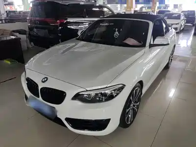 BMW 2 Series (Import) 2019