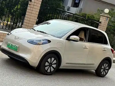 Wuling Motors Bingo 2024