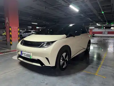 BYD Dolphin 2023