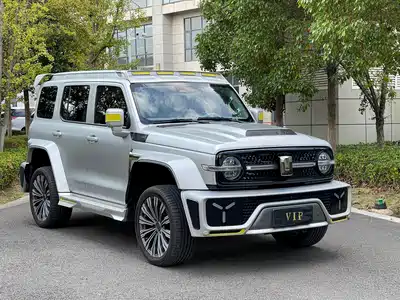 Crossboundary Auto Co-created Tank 300 2022