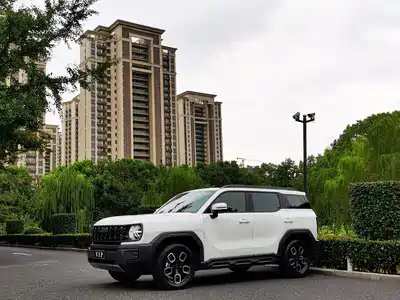 Haval Cool Dog 2023