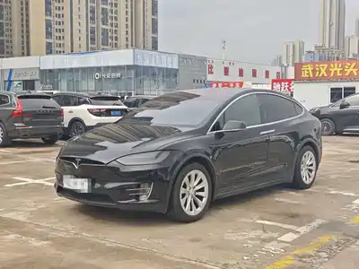 Tesla Model X 2019
