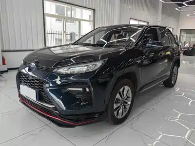 Toyota Wildlander 2020