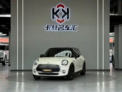MINI MINI 2015