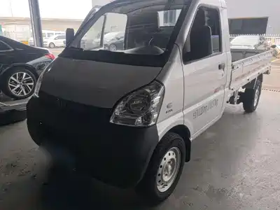 Wuling Motors Rongguang Mini Truck 2020