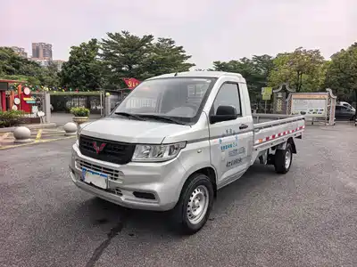 Wuling Motors Rongguang New Truck 2021