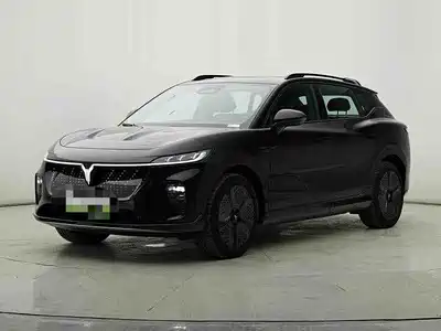Voyah Auto Zhiyin 2025