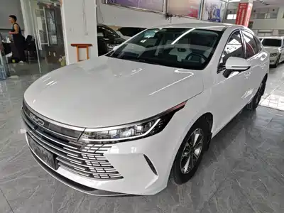 BYD Destroyer 05 2024