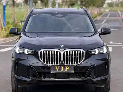 BMW X5 2025