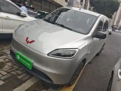 Wuling Motors Hongguang New Energy 2025