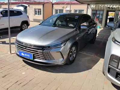 BYD Destroyer 05 2024