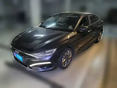 Hyundai Fista 2019