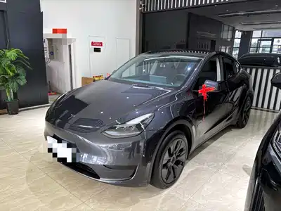 Tesla Model Y 2024