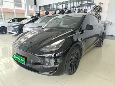 Tesla Model Y 2021