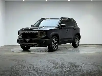 Haval Big Dog 2025