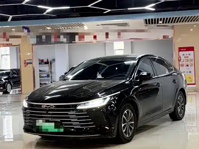 BYD Destroyer 05 2024