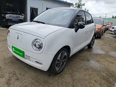 Ora Black Cat 2022