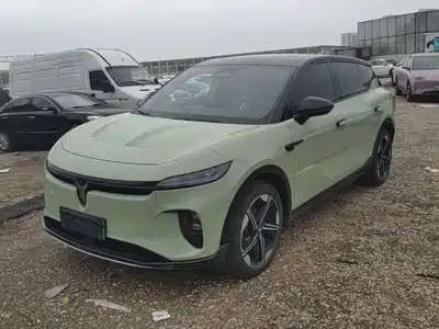 Voyah Auto Zhiyin 2025