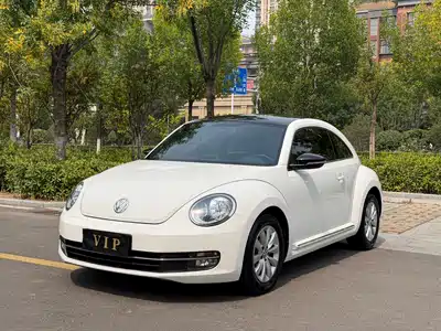 Volkswagen Beetle 2014